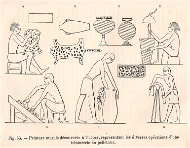 La pelleterie et le vêtement de fourrure dans l'antiquité (page 111). Free illustration for personal and commercial use.
