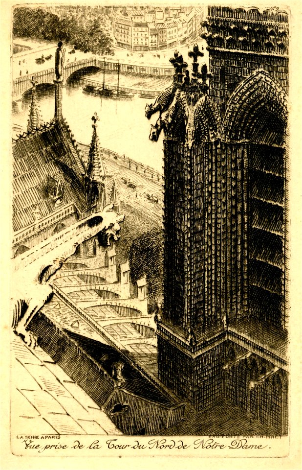 LA SEINE À PARIS n° 9 Vue prise de la Tour du Nord de Notre-Dame