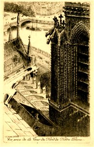 LA SEINE À PARIS n° 9 Vue prise de la Tour du Nord de Notre-Dame