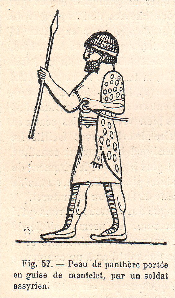 La pelleterie et le vêtement de fourrure dans l'antiquité (page 126)