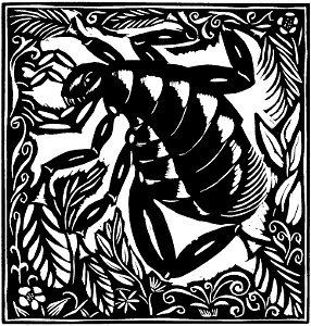 La Puce (Apollinaire - Le Bestiaire, ou Cortège d'Orphée)