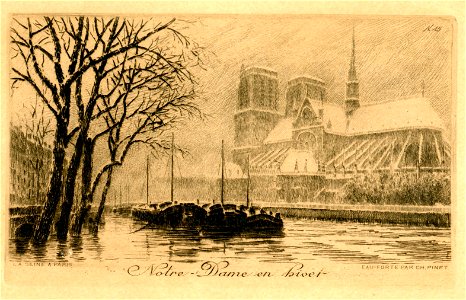 LA SEINE À PARIS n° 15 Notre-Dame en hiver (avec marges)
