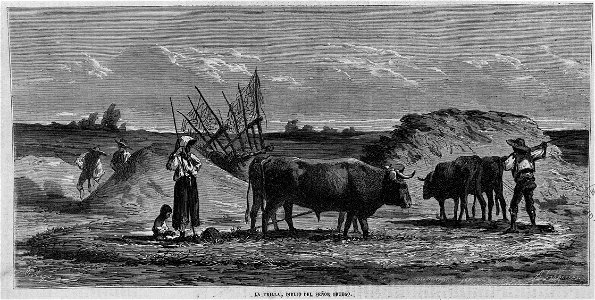 La trilla, dibujo del señor Ortego