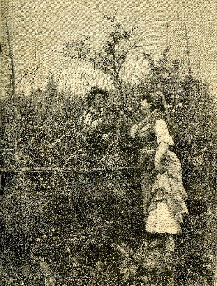 La Primavera nei campi, - quadro di Fausto Zonaro