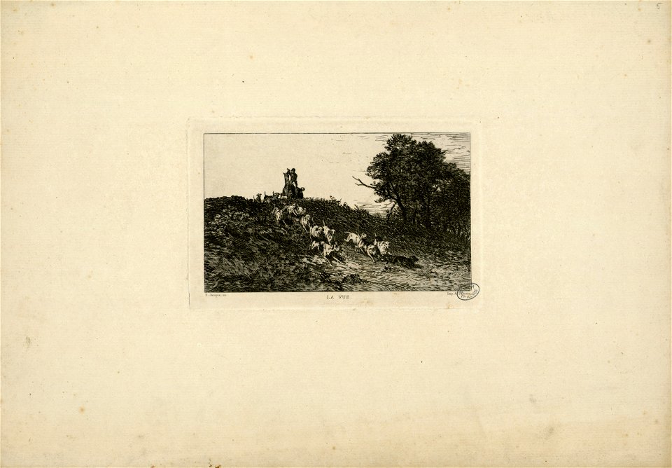 La vue - Fonds Ancely - B315556101 A JACQUE 005