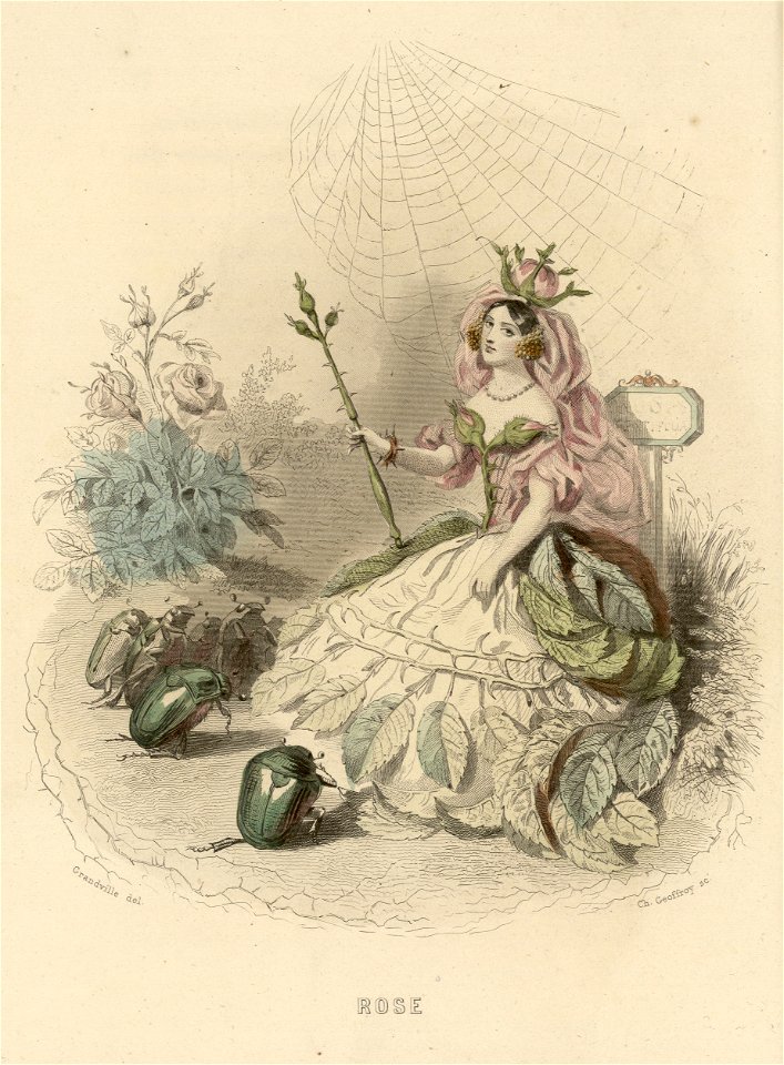 La reine des fleurs, fleurs animées, Grandville
