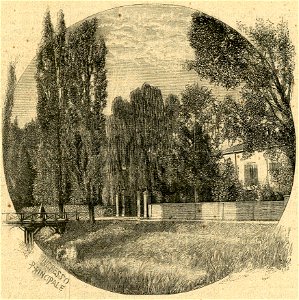 La villa Verdi a Sant’Agata 2