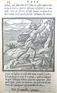 La zucca del Doni (BM 1972,U.205 26)