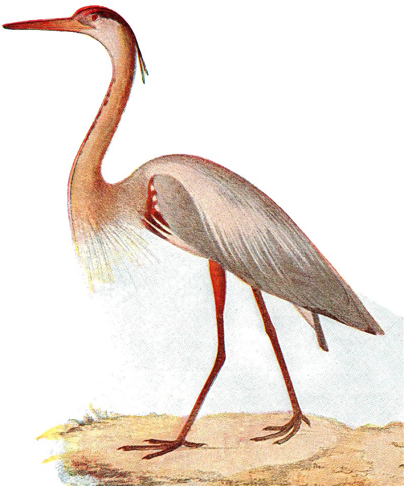 LA2-NSRW-2-0416-GBH