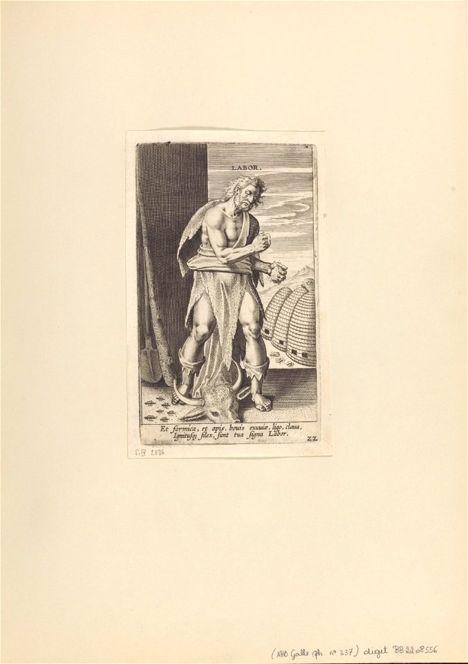 Labor print by Philip Galle, S.IV 2886, Prints Department, Royal Library of Belgium