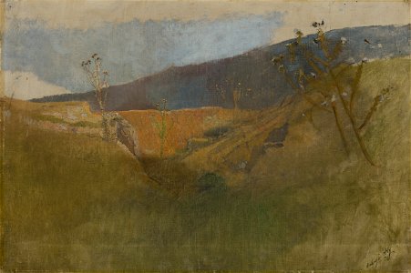 Ladislav Mednyánszky - Landscapes with Thistles - O 1089 - Slovak National Gallery