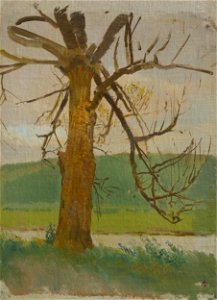 Ladislav Mednyánszky - Strom pri rieke - O 6780 - Slovak National Gallery
