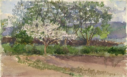 Ladislav Mednyánszky - Blooming Tree - K 5519 - Slovak National Gallery