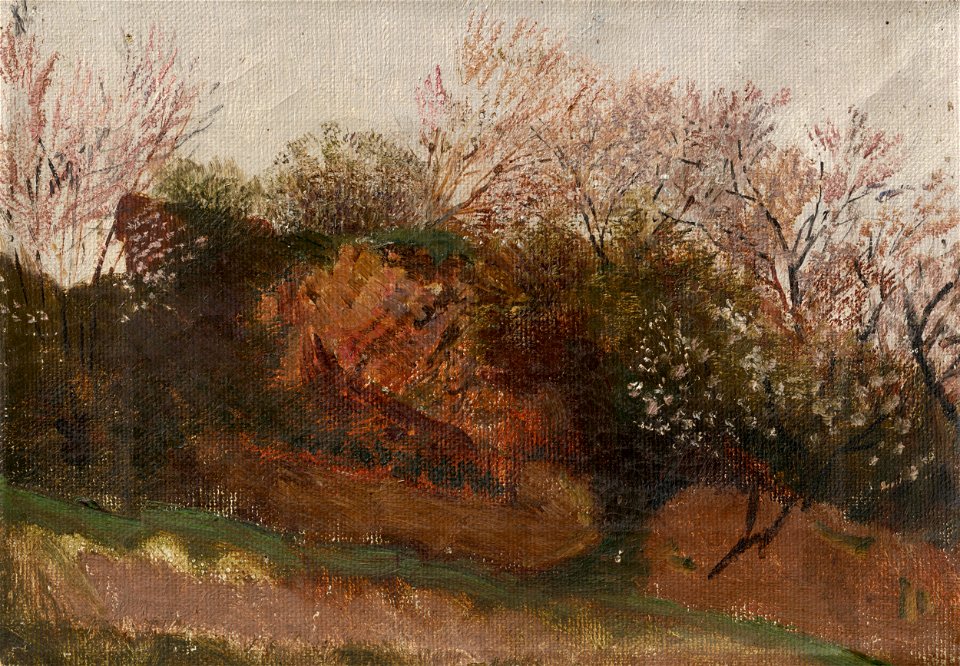 Ladislav Mednyánszky - Study of Nature in Spring - O 2998 - Slovak National Gallery