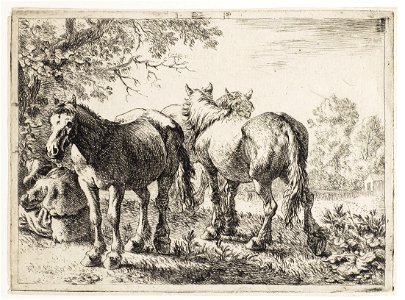 Drie paarden en een boer Verschillende dieren (serietitel), RP-P-OB-46.819