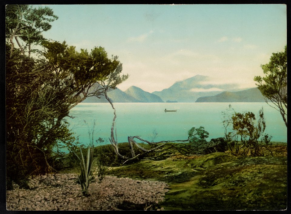Lake Te Anau LCCN2017658077