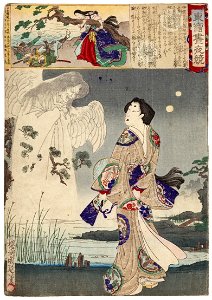 Lady Iga and the ghost of Sasaki Kiyotaka (5759542262)