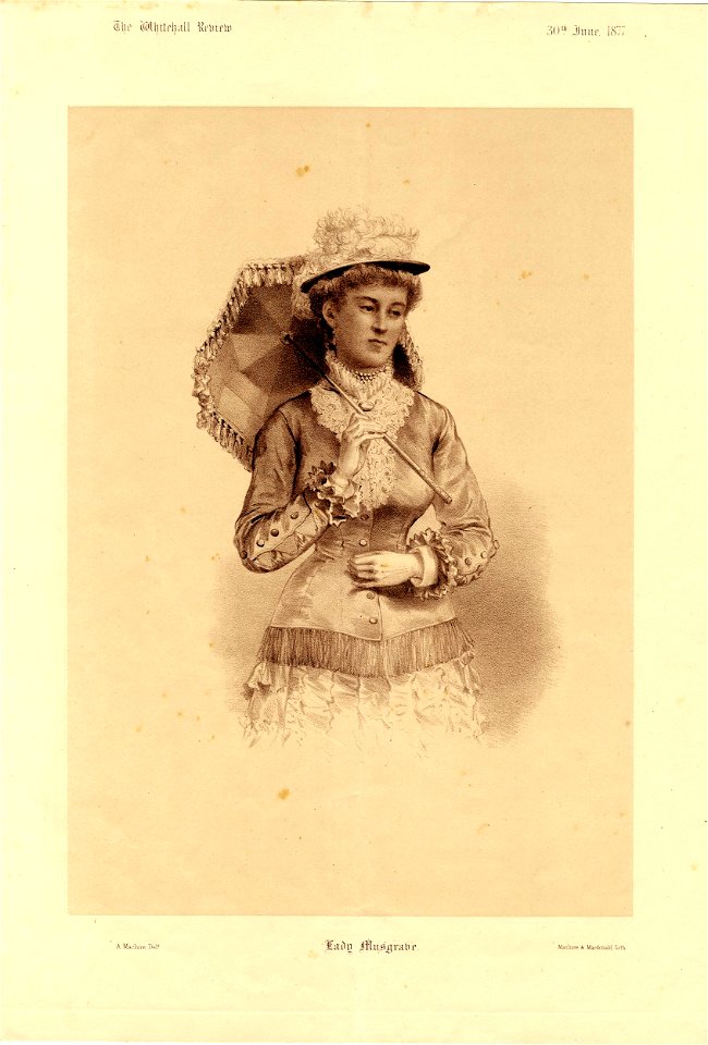 Lady Musgrave (BM 1896,1230.1128)