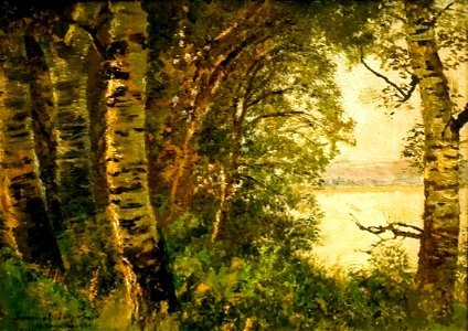Lakeside View with Trees
