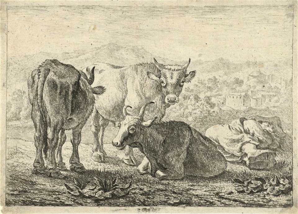 Drie runderen en een slapende herder Verschillende dieren (serietitel), RP-P-OB-46.821