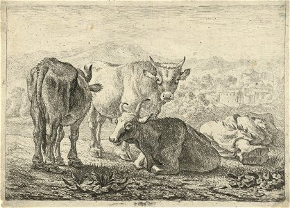 Drie runderen en een slapende herder Verschillende dieren (serietitel), RP-P-OB-46.821