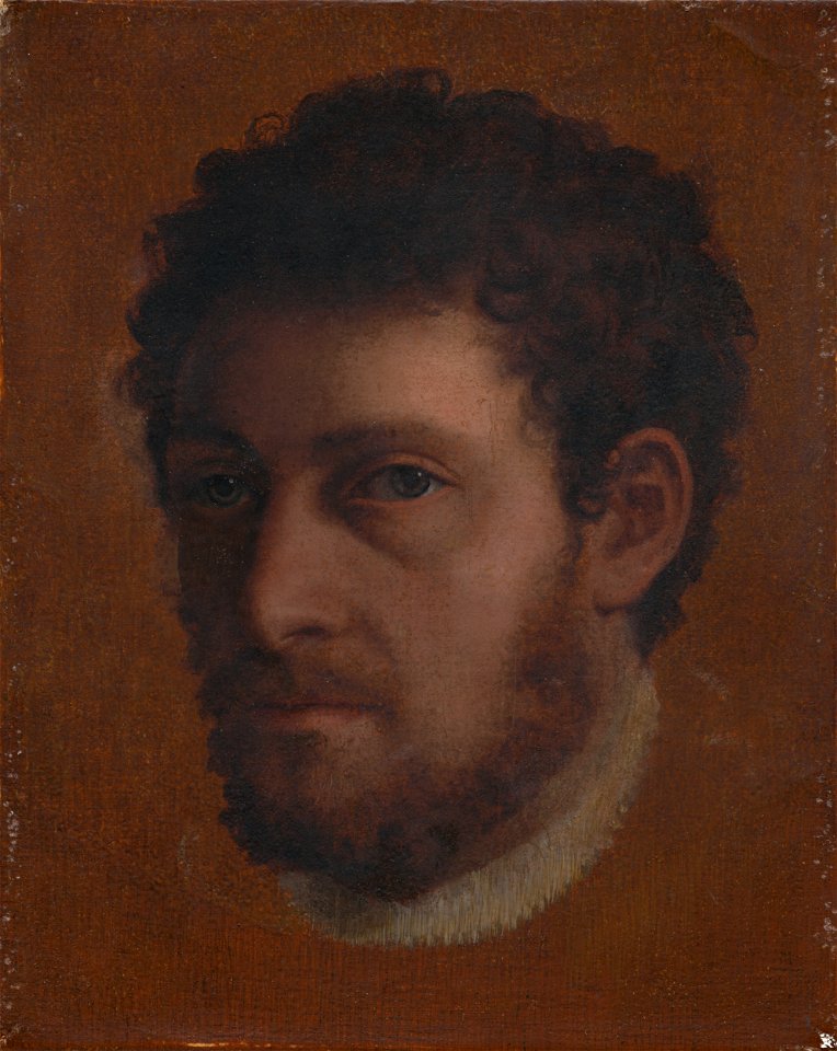 Lambert Sustris - Head Study of a Young Man - O 5116 - Slovak National Gallery