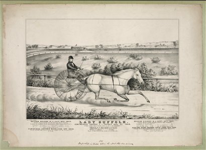 Lady Suffolk, Centreville Course, L.I., Friday, Aug. 3, 1849 LCCN93508173