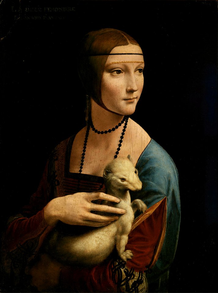 Lady with an Ermine - Leonardo da Vinci (adjusted levels)