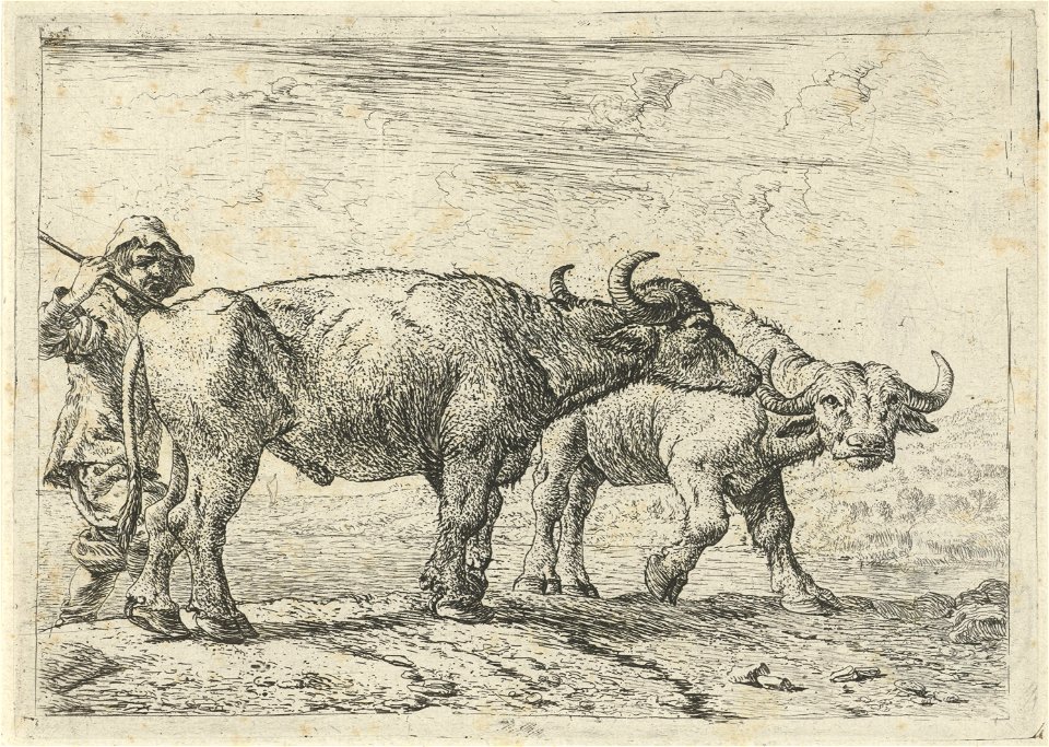 Twee buffels en een herder Verschillende dieren (serietitel), RP-P-H-R-71