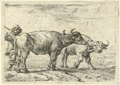 Twee buffels en een herder Verschillende dieren (serietitel), RP-P-H-R-71
