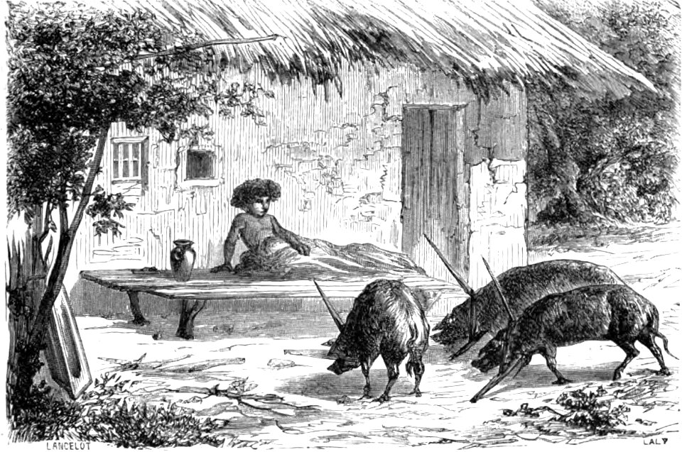 Lancelot - Entrave des cochons valaques