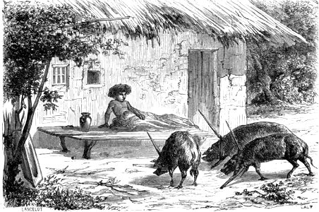 Lancelot - Entrave des cochons valaques