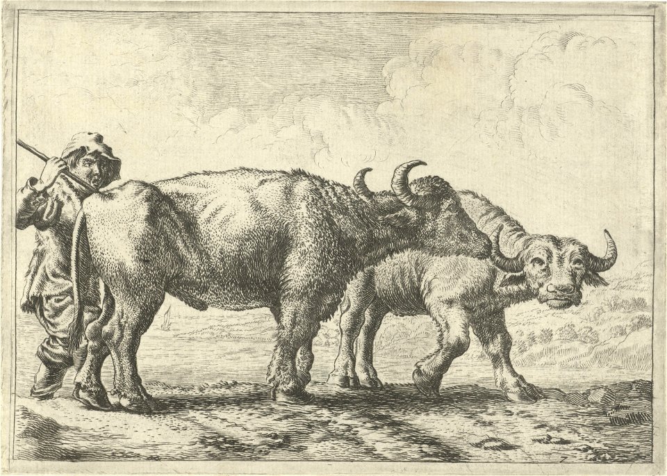 Twee buffels en een herder Verschillende dieren (serietitel), RP-P-1885-A-9828