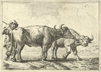 Twee buffels en een herder Verschillende dieren (serietitel), RP-P-1885-A-9828