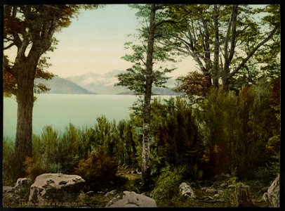 Lake Manawpouri LCCN2017649296