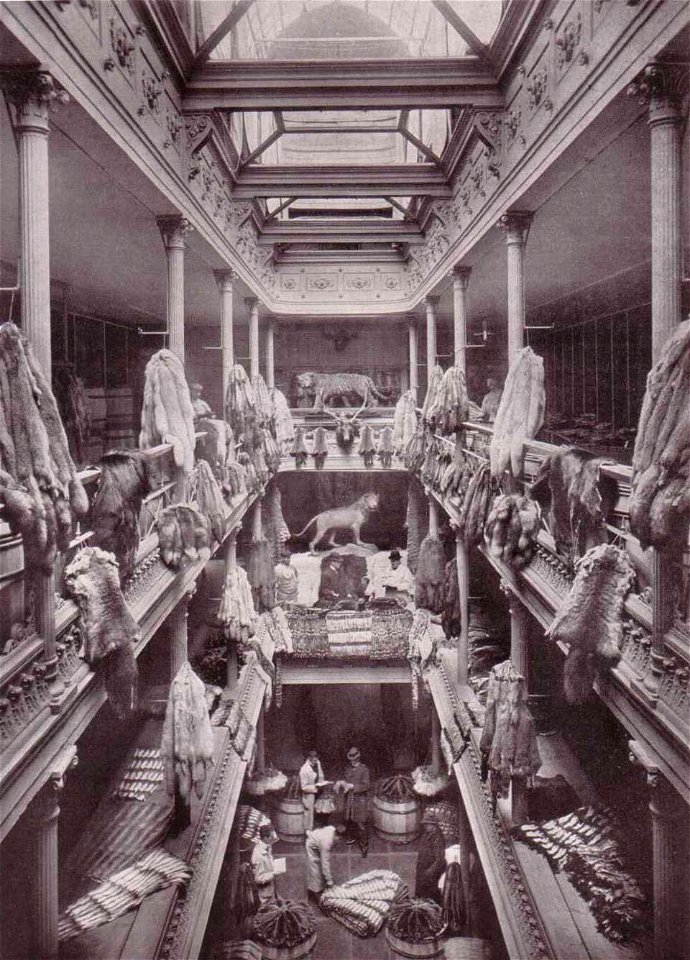 Lagerraum von Lomer & Co (vor 1906)