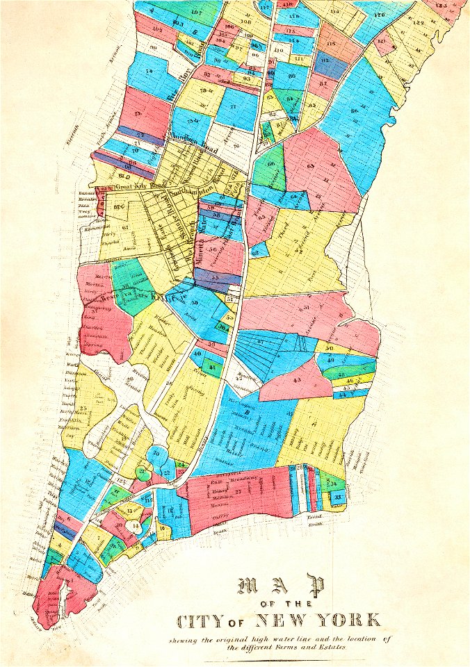 Map of the City of New York, high water line, farms and estates (cropped)