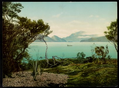 Lake Te Anau LCCN2017658077