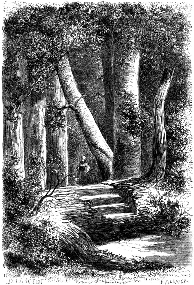 Lancelot - Le sentier de Baia de Arama