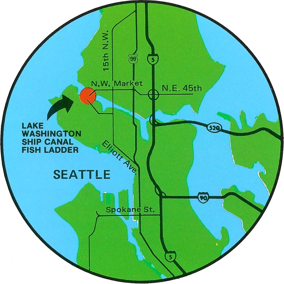 Lake Washington Ship Canal Fish Ladder pamphlet 04