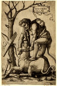 Marcantonio - Hercules, wearing a skin of a lion, holding a bull by its horns, 1973,U.14