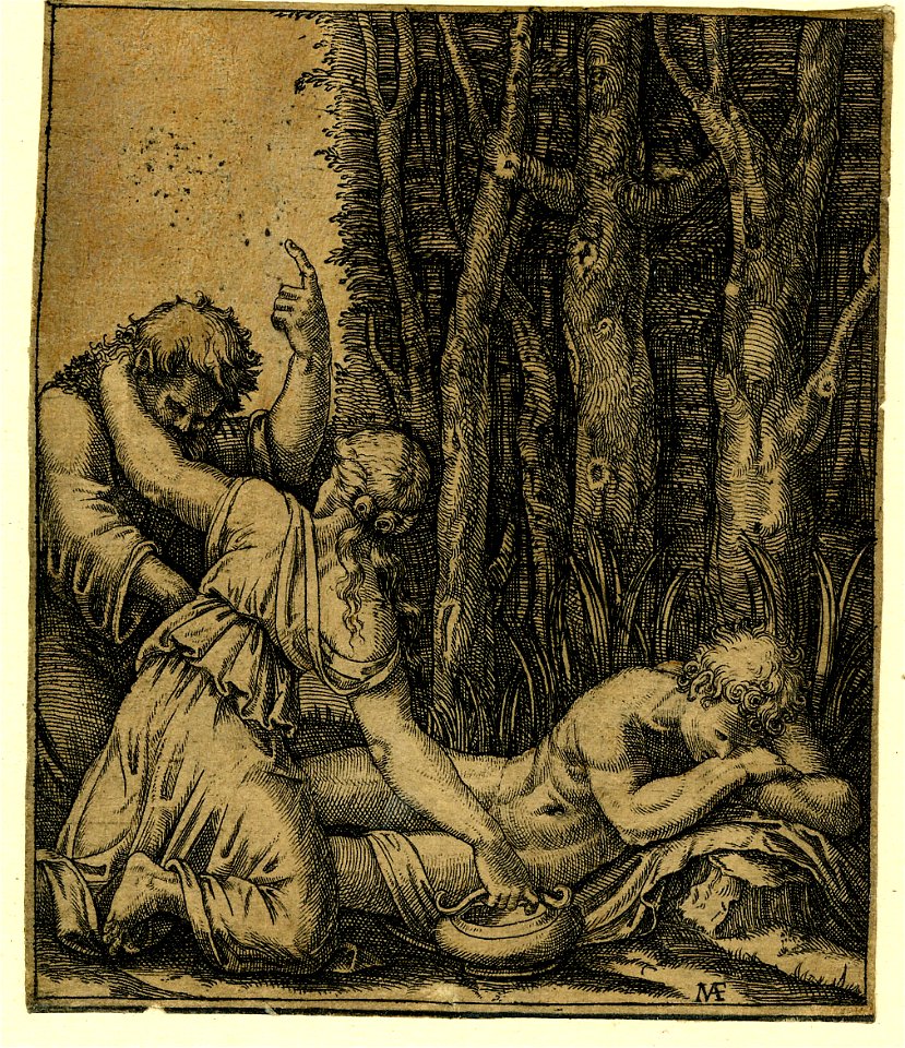 Marcantonio - A nude man asleep at the edge of a wood, H,3.54