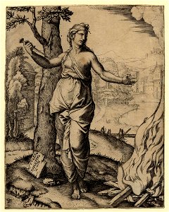 Marcantonio - Dido holding a dagger in her right hand, 1895,0915.116