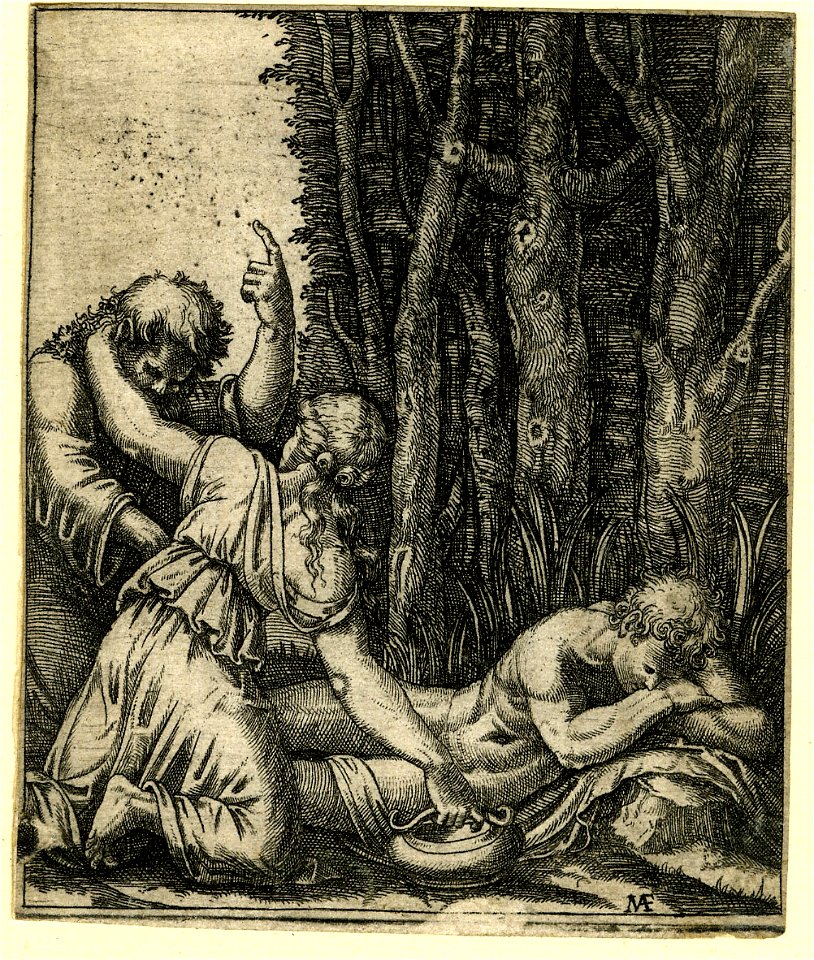 Marcantonio - A nude man asleep at the edge of a wood, H,3.56