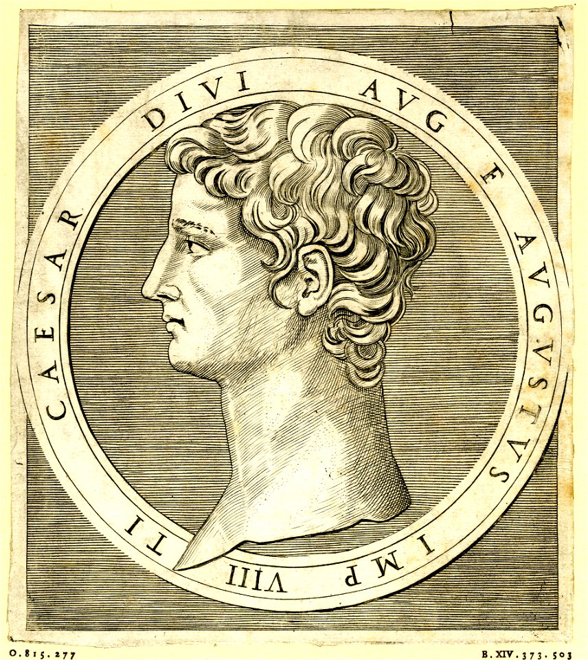 Marcantonio - Roman Emperors, 1951,0407.136