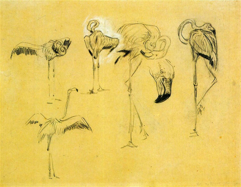 Marc Flamingos
