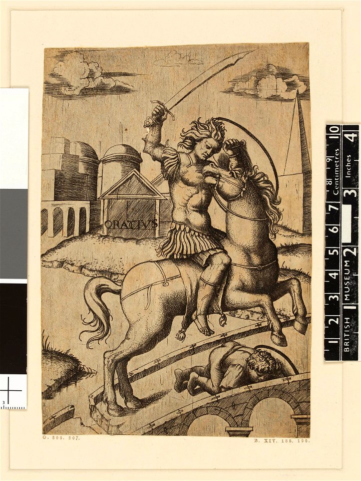 Marcantonio - Roman Cavaliers, H,2.5