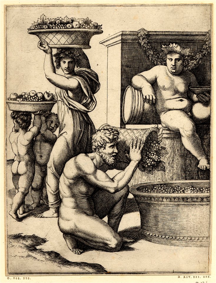 Marcantonio - A nude man pouring grapes from a basket into a vat, above Bacchus sitting, holding a drinking crater in his left hand and leaning on a barrel with his right, H,2.61