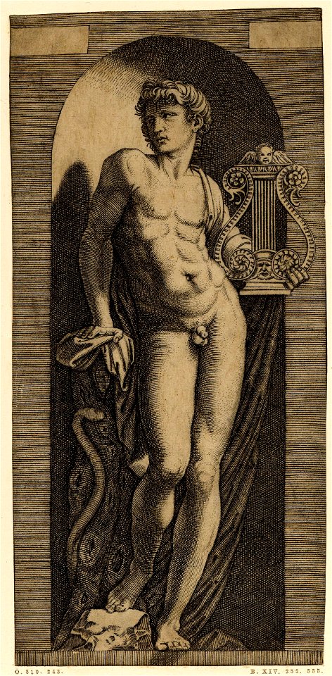 Marcantonio - A statue of Apollo, standing in contrapposto in a niche, H,2.83