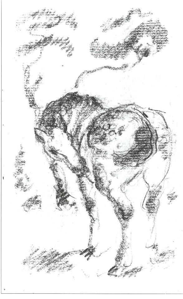 Marc - Stehendes Pferd